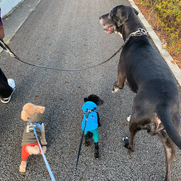 0a2b2798 df41 43e1 b17f d7a302582486 1546647621314