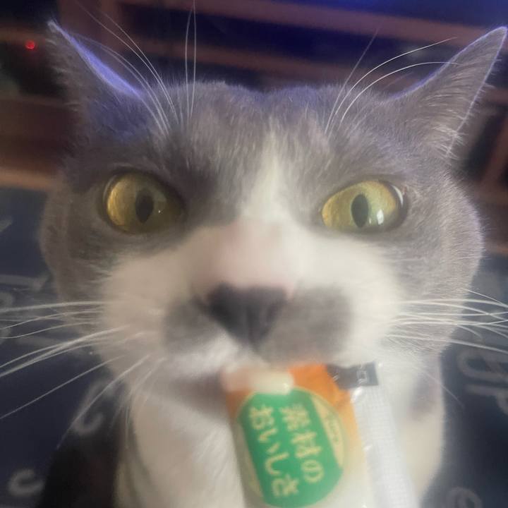 0a2b2a0d 3aa4 4e02 b260 77672f808cc1 1712045032678