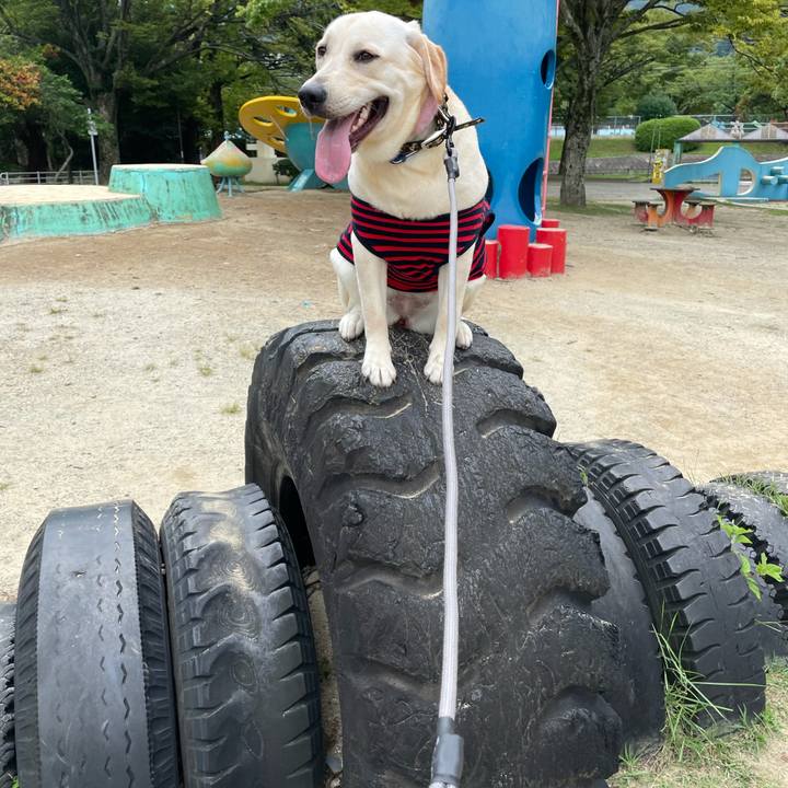 0a2b6b1f b18c 4d24 91b3 223feef78c83 1631052433457