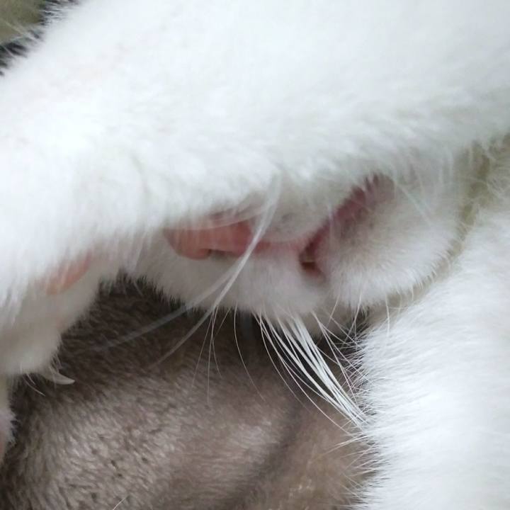 0a2b853d ef3f 4e86 9d8e 82b4813bc4bd 1543585794877