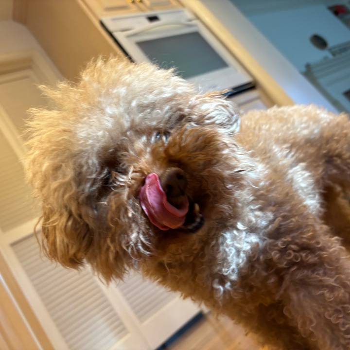 0a2bc6cd ebdb 4d22 ae77 75c862c49476 1739560623865