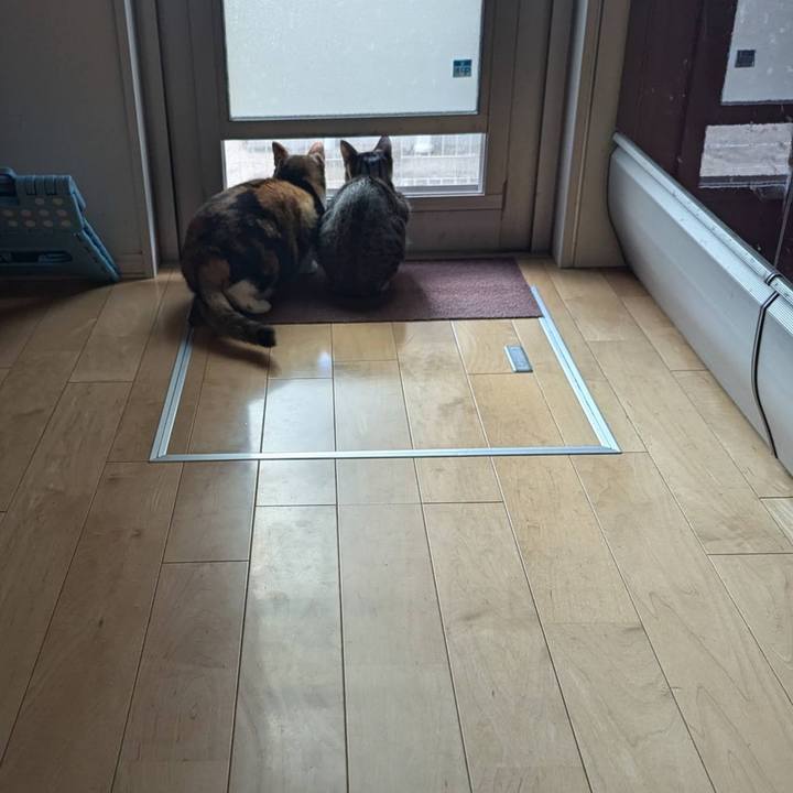 0a2bd656 446d 4e2e b9aa 82d48228e635 1733554452062