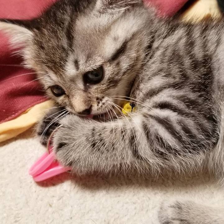 0a2bdad0 4bb7 4289 b538 fd1d039186b9 1661352709624