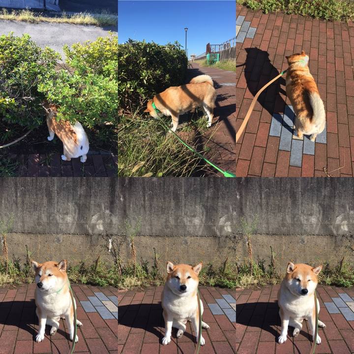 0a2c1fe2 c30e 4734 9fae 79bae8d28e04 1601249700318