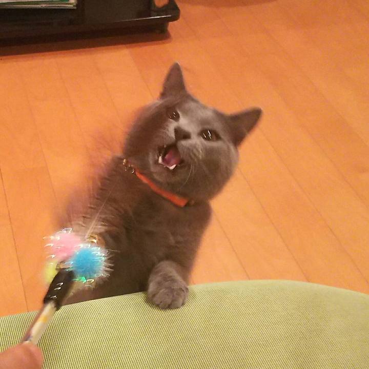 0a2c2fa4 2b89 45d4 98ae 526fc5c0f46f 1530572826603