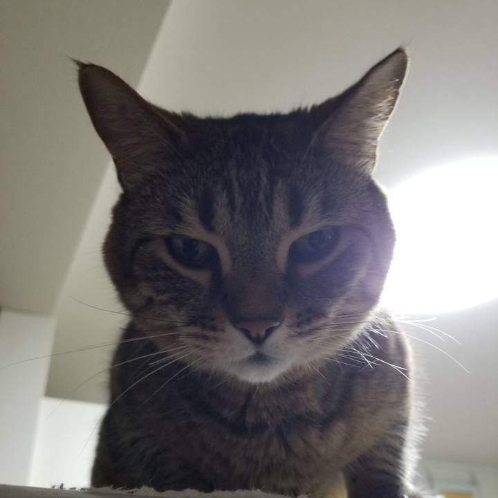 0a2c4f0c fc4d 4e1b 9d89 543ef41b57d0 1619559790532