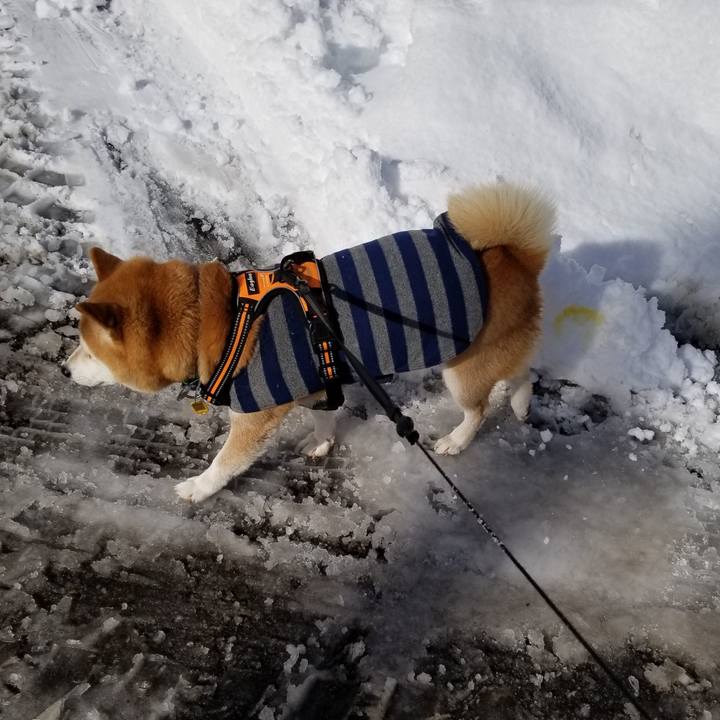 0a2c5536 1eb7 4830 aaf6 b5a9e1e9f860 1640665606631