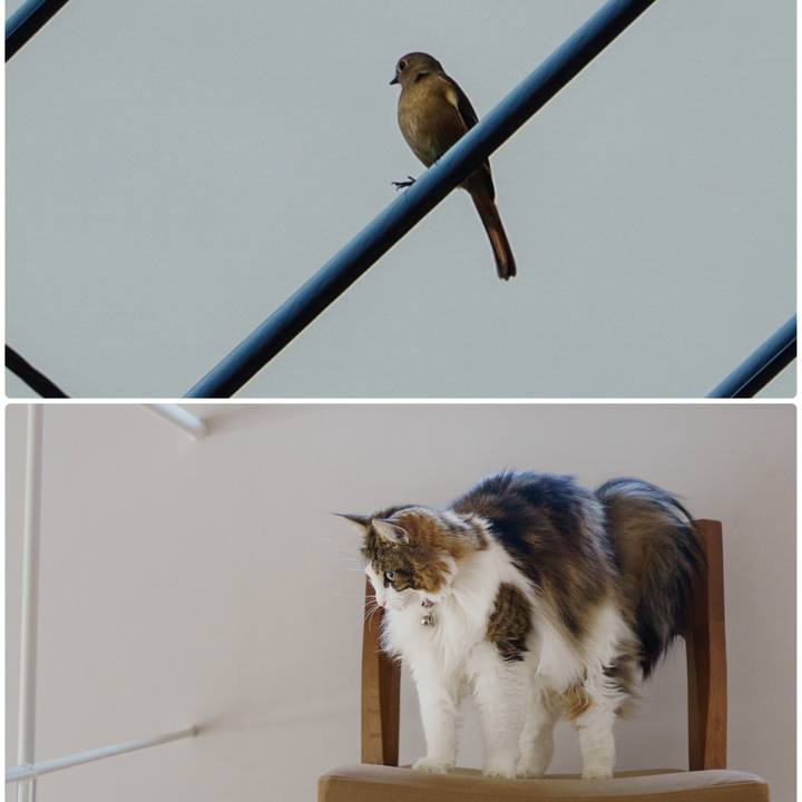 0a2c77d3 7209 428e ab10 c662ebc0c7d6 1669430458146