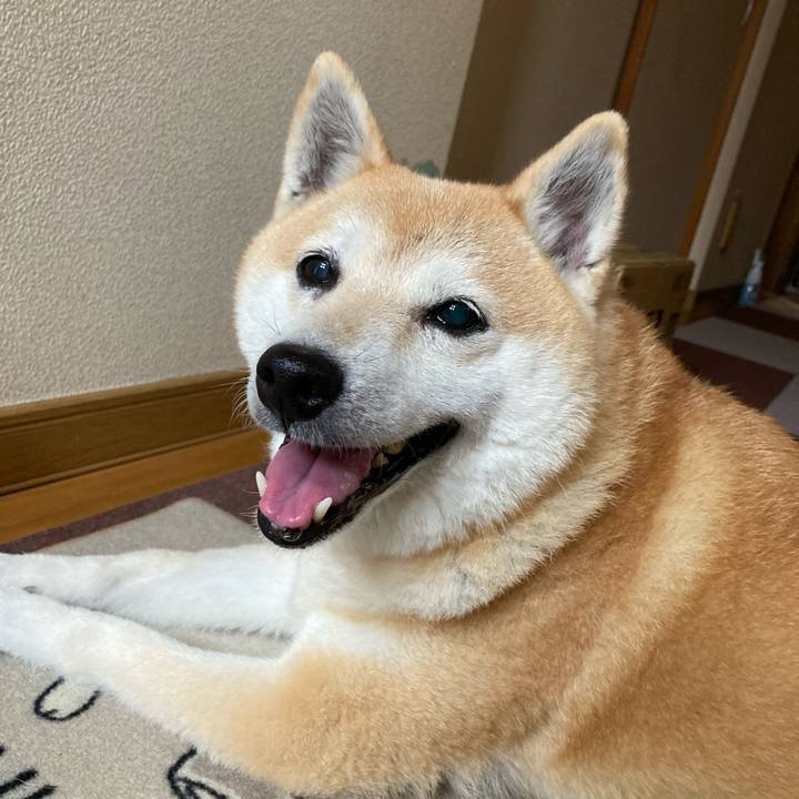 0a2c7f06 609a 44b2 b86d effe0cfefa24 1631332746381