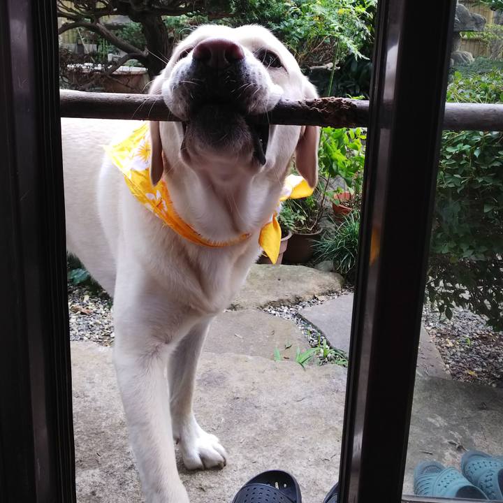 0a2ca887 7014 4d72 b1d1 76d8fac1bfe3 1541590717536