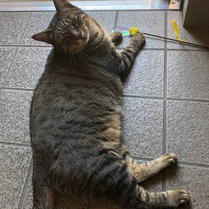 0a2cc72f 0508 4664 a85c 61aec8b23dfd 1535346053285