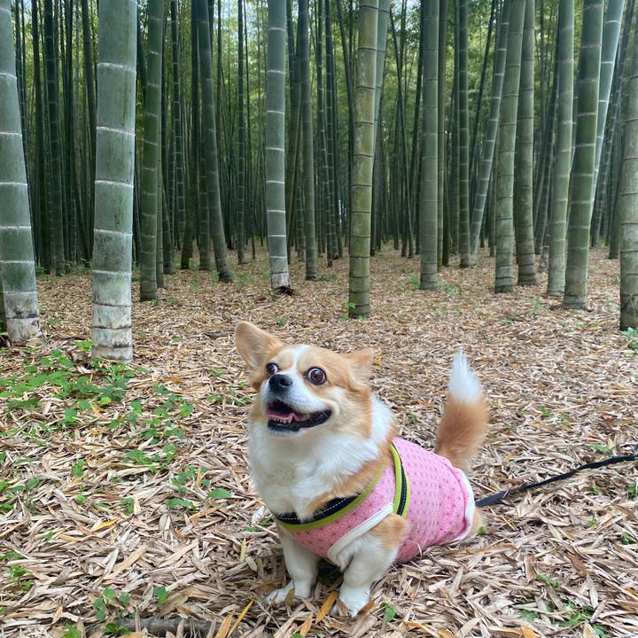 0a2ce8f8 3de9 4f73 9fb6 cc94c2d45753 1746796599027