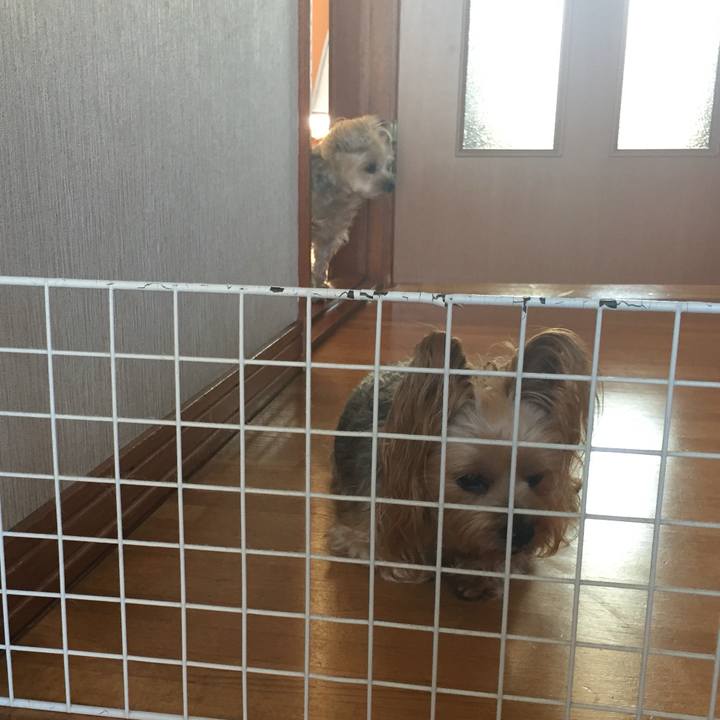 0a2cfba8 8791 4341 aa90 26f26ae8aada 1725013194353