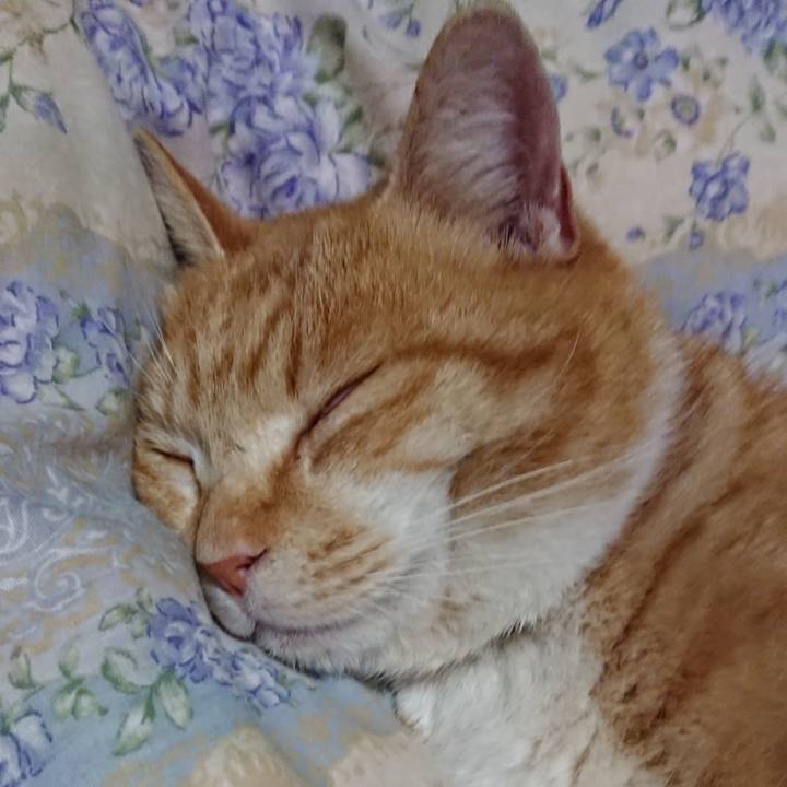 0a2d0d0b 512c 4899 bbbb 61e2a50c2c78 1581683176956