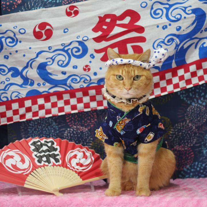 0a2d1072 ed7a 4446 8536 e9a973e26df4 1625145211960