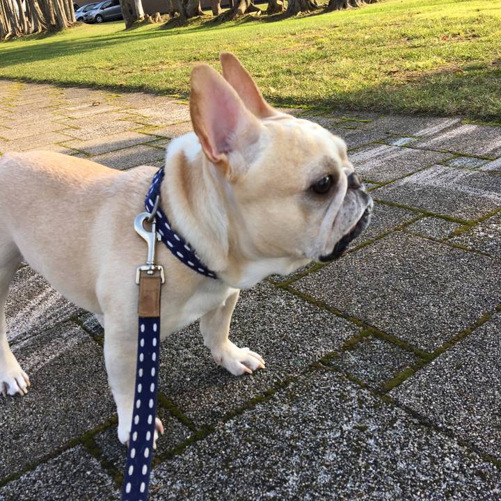 0a2d20fe 2eb6 496a 999b c115032ee197 1510027966478