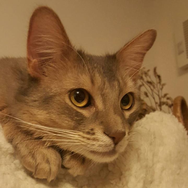 0a2d46d8 cf43 4b33 98f9 56f5d2b7766a 1546094320331