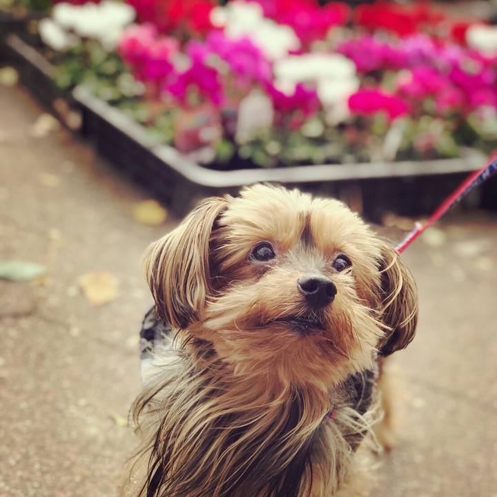 0a2d4ef7 f28e 4619 8aac 64a79caf82f2 1510477111482