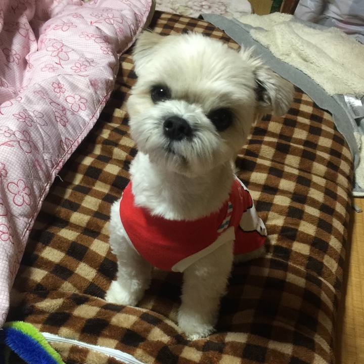 0a2d6fef 2496 4fc5 9a00 b9e2f8161d05 1511532046064