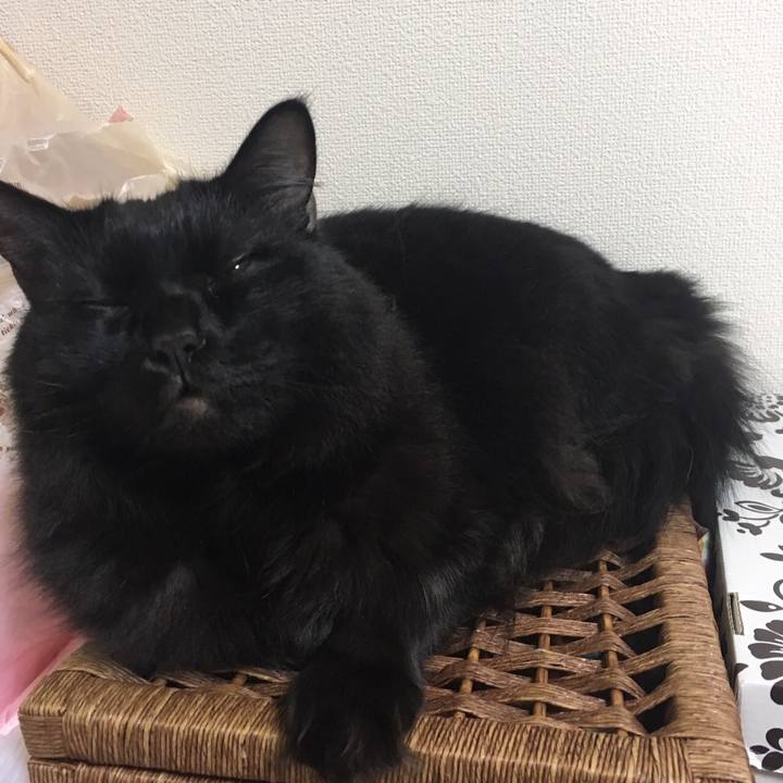 0a2d7578 6c22 4e5d 92fa e0b421557529 1509269378180