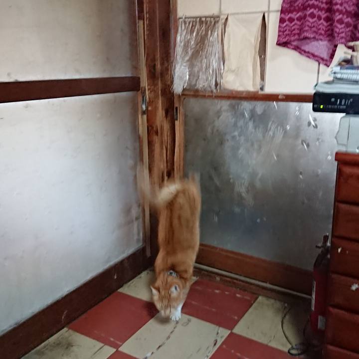 0a2d9c31 dd23 4aa9 81ba ff89a056c5b3 1573883297225