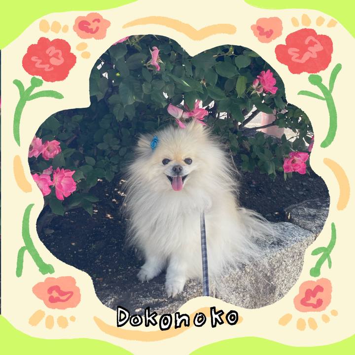 0a2df132 b0ff 495f 9a12 cdcbf8965ede 1715439605624