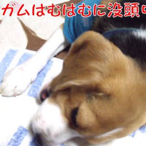 0a2e2a17 65fe 425f bb58 689b048c4746 1712709151815