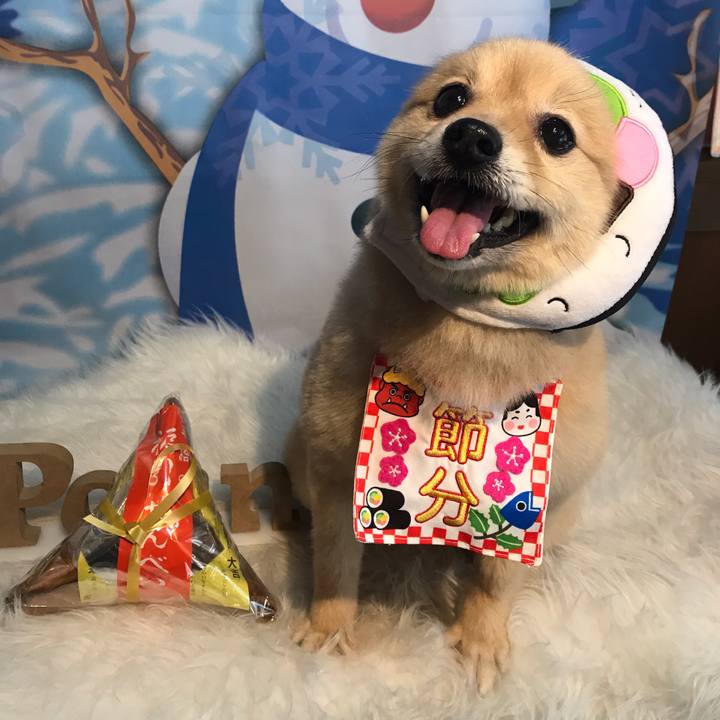 0a2e4596 e530 496c 9553 1a95a796298d 1581227035867