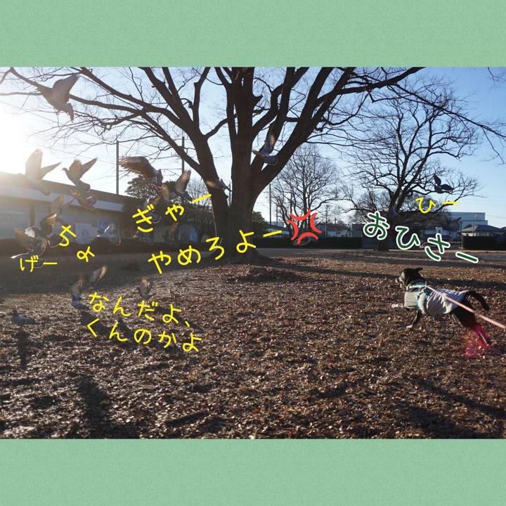 0a2e4d1e 41c5 4dcc af9b 36b20fdc29f5 1770079654567