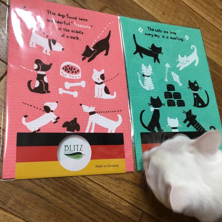 0a2e5ec8 4466 4c17 be0f 5c2ba2bed8a8 1512402901466