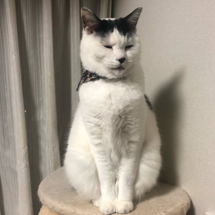 0a2e6883 949c 4915 936b 8034174c9886 1575899512566