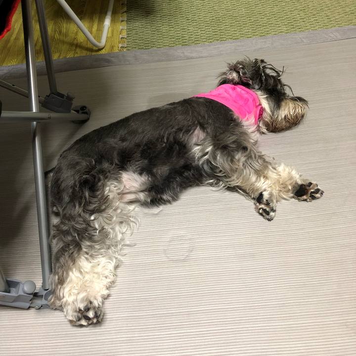 0a2ee931 164a 4659 a46d d35d4da7ca73 1564065474207