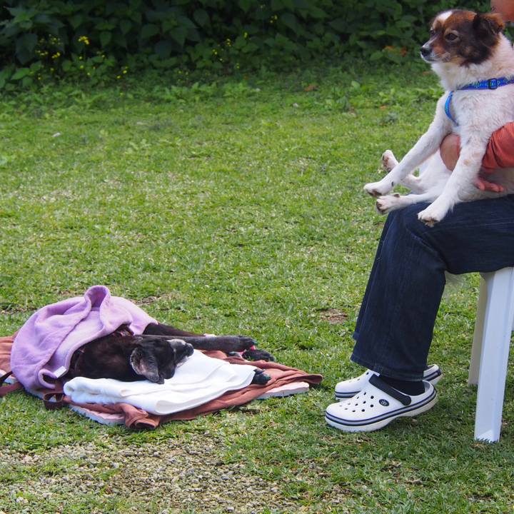 0a2efb9c 05d6 41cb 8ed2 ff20759ddd55 1549087392906