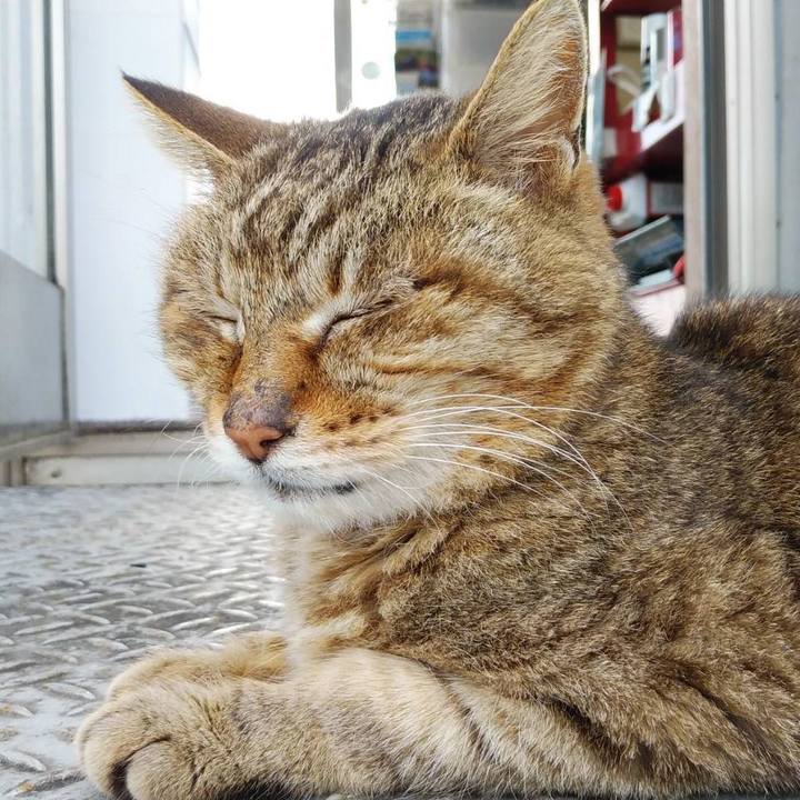 0a2f1110 a9f4 44c0 8cf5 5b664904b7aa 1621820474093