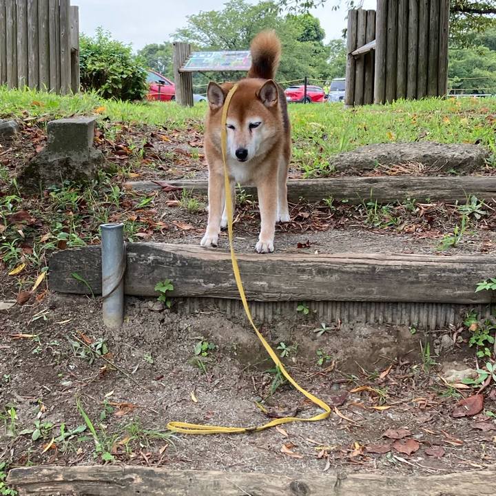 0a2f11ef 391a 46b4 9c0f 4e1bea7534a7 1661828681420