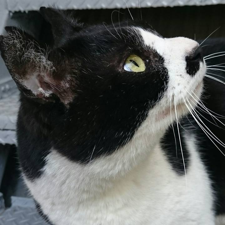 0a2f1d3b 555b 4808 8b88 9d788bcb0e7b 1522294098445