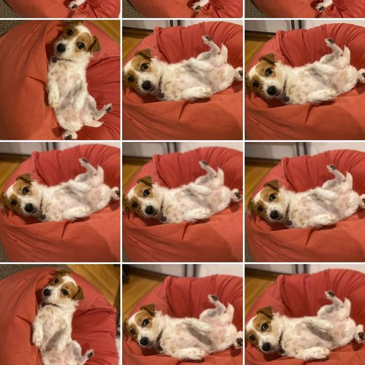 0a2f38ec dba2 4bad b46c c3c1fedb2273 1603292792893