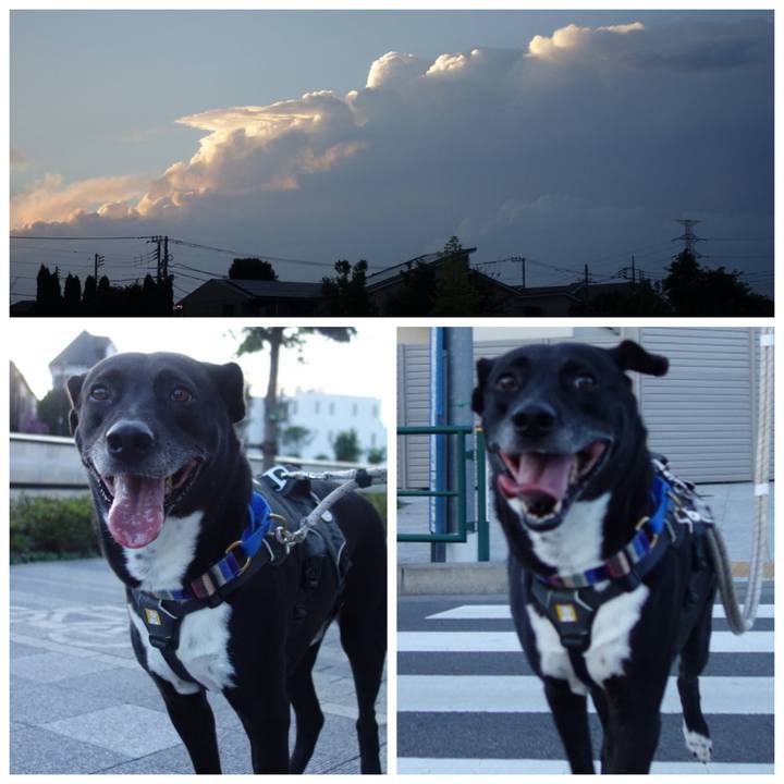 0a2fa692 ab7b 4d38 b9a8 c31532109bd8 1658056666581