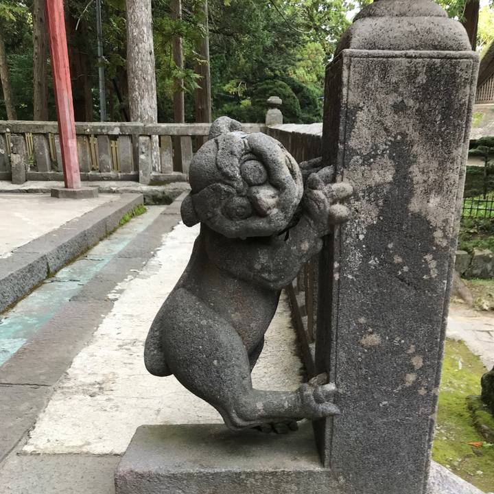 0a2fcfe9 1149 43c2 84b3 4b69e7d5d7c3 1536836045895