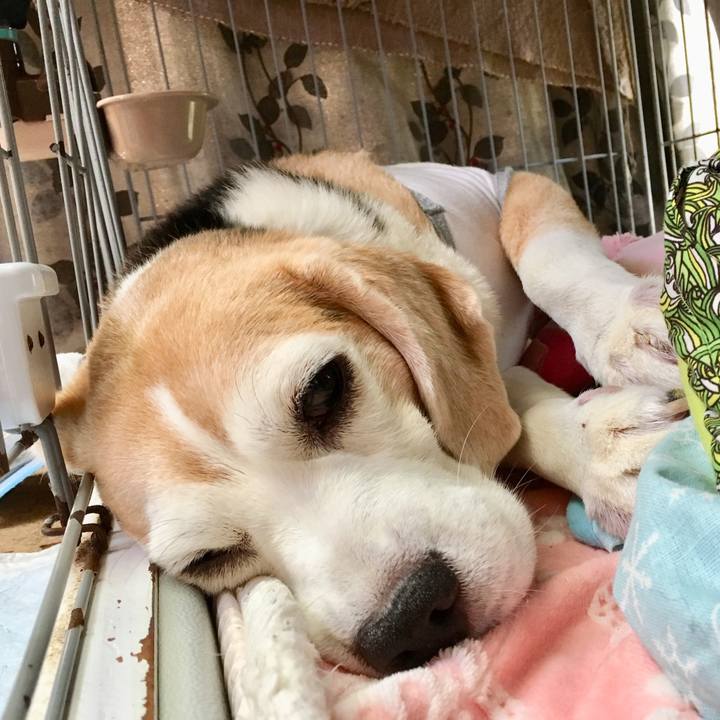 0a2fd0e5 9663 4560 bd31 c6cf97740053 1566704549943