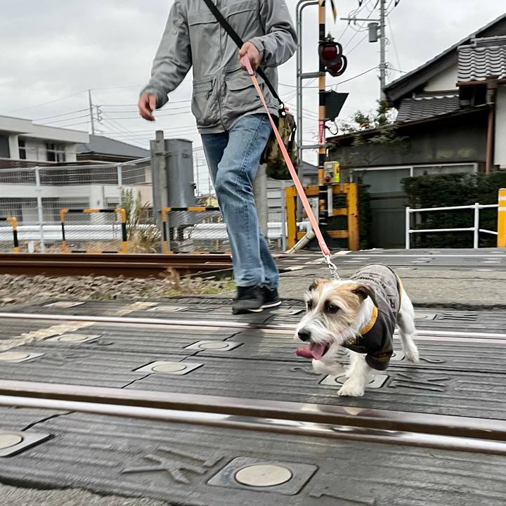 0a2ff47e d26b 460f 8b15 d67b555d5976 1637481122994