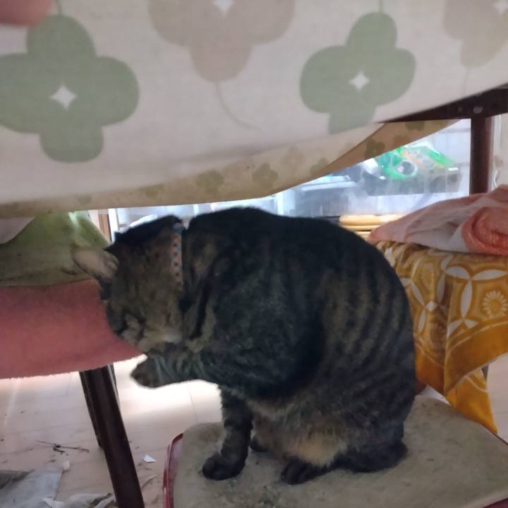 0a2ff597 6c16 4bde ae91 d7a382fb1f1b 1701730741962