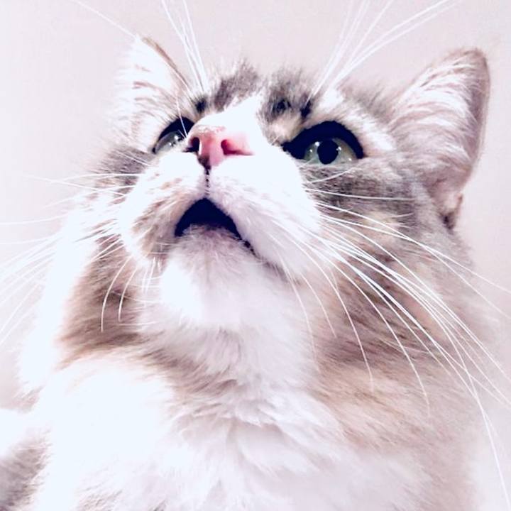 0a30097e fe45 4ebc ab95 3e8ba3d534f1 1750433471904