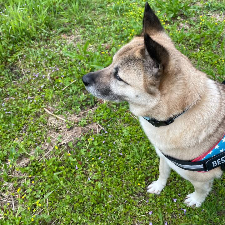 0a30267a 8c4b 4ba6 b7d7 6a0db5525076 1713182251009