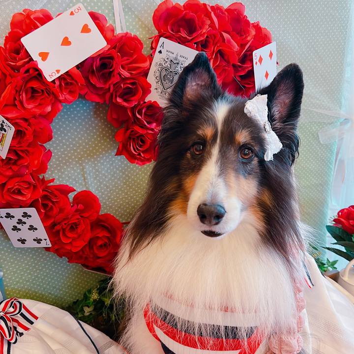 0a307759 f264 441f 8c9d 80623d1c407a 1688145315590