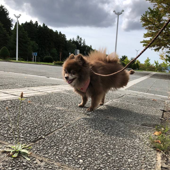 0a30864e 47a2 4fb6 843c 1f358a6dc5df 1632639160358