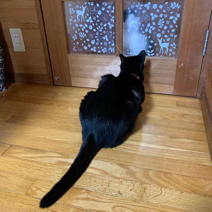 0a30a7df 92cc 42ea ac25 6c76a2d05eeb 1591754230229