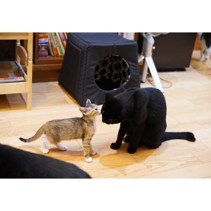 0a30b6dd 911b 4fdf 8310 25ce40b4aad5 1567820508874