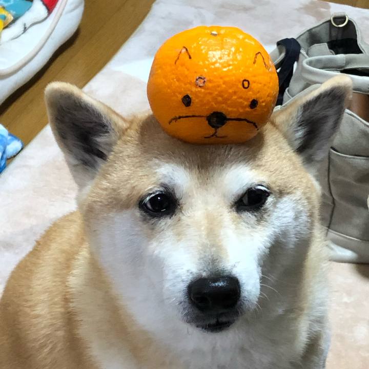 0a30d4ec 39b5 49ff ac0d c1e48ff11e44 1580041649540