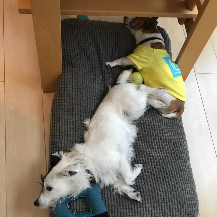 0a310684 a942 4b0a 83fc 6a541329b9ca 1524615715811